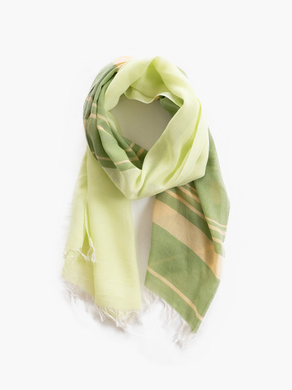 MINI / オーガニックコットンストール